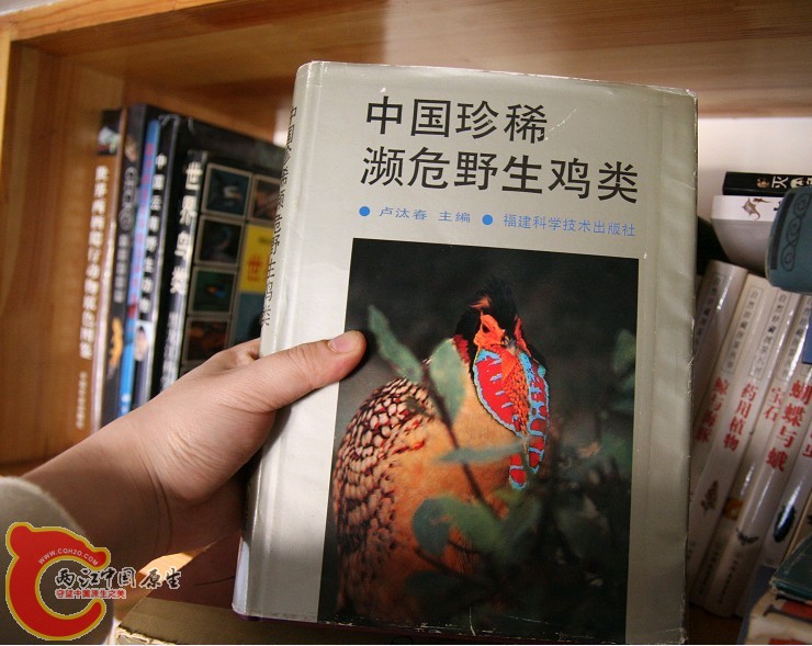 未命名21.jpg