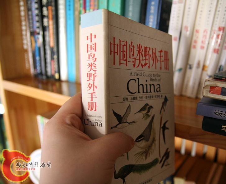 未命名14.jpg
