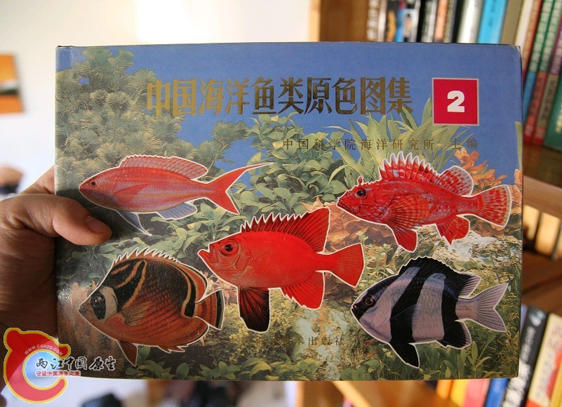 未命名12.jpg