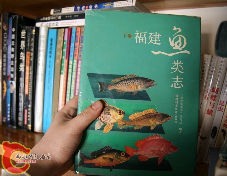 未命名17.jpg