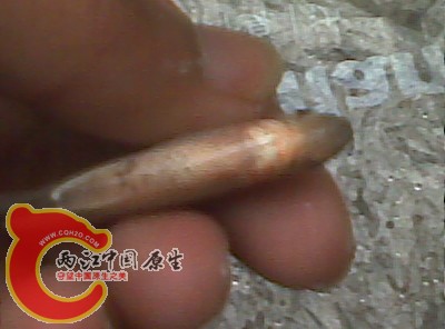 股份将很难.jpg