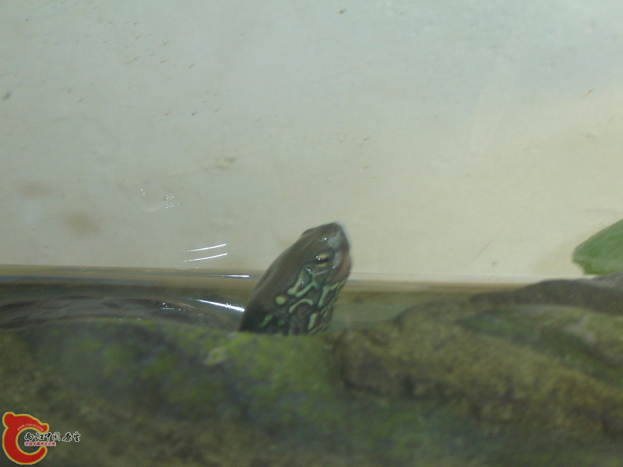 DSC02440.JPG