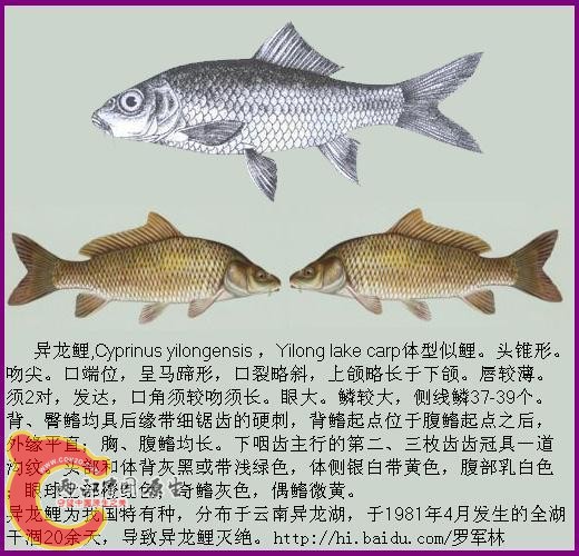 888c9f3de63a2a20bba16736.jpg