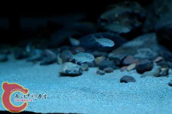 DSC_5770.jpg