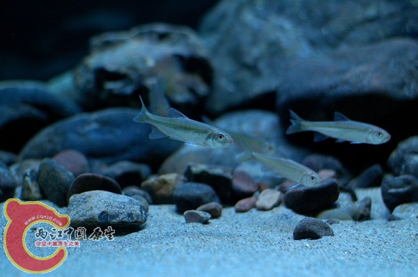 DSC_5716.jpg