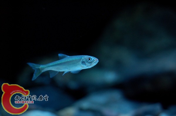 DSC_5780.jpg