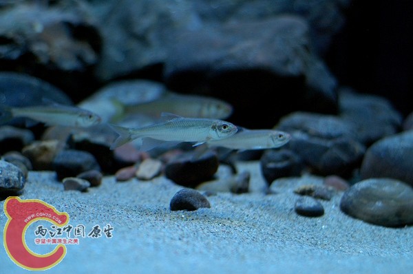 DSC_5709.jpg
