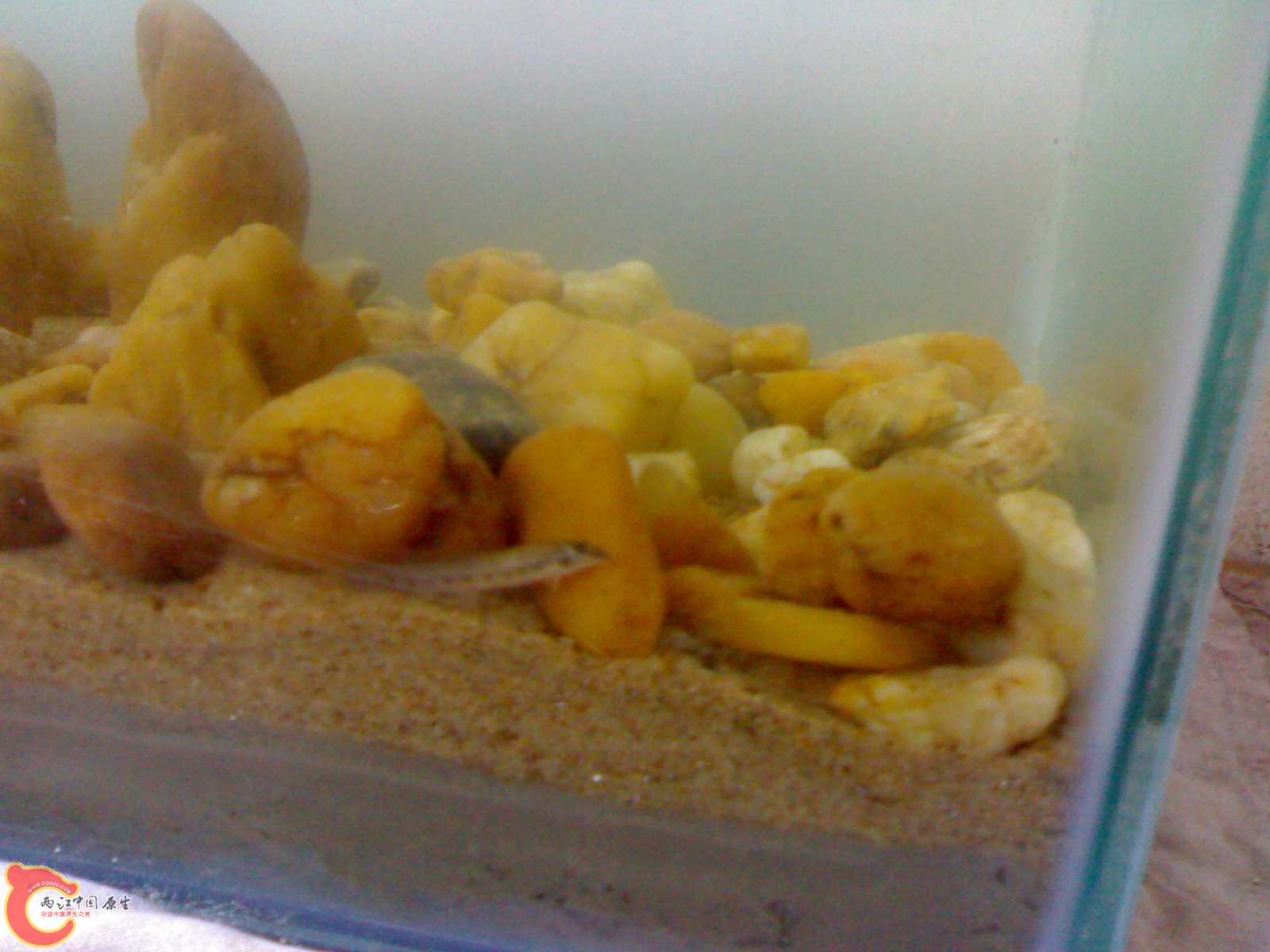 20100328011.jpg