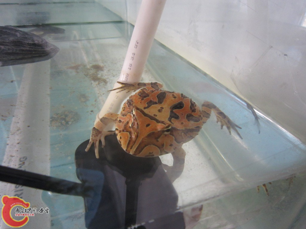 IMG_1563.JPG