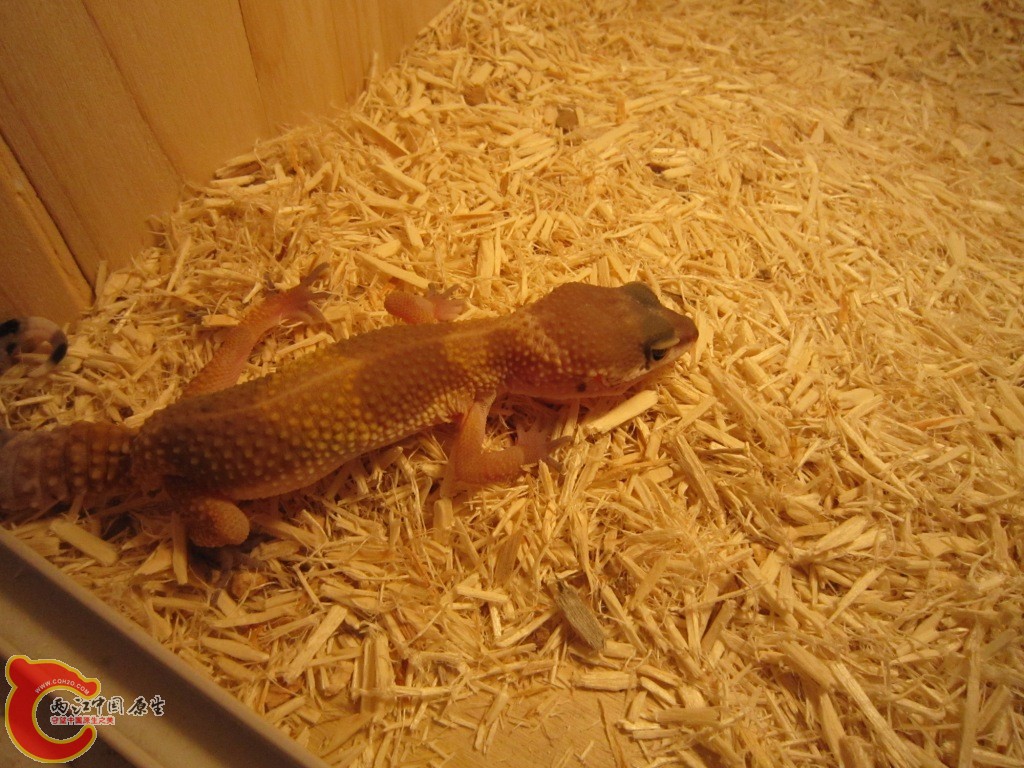 IMG_1573.JPG