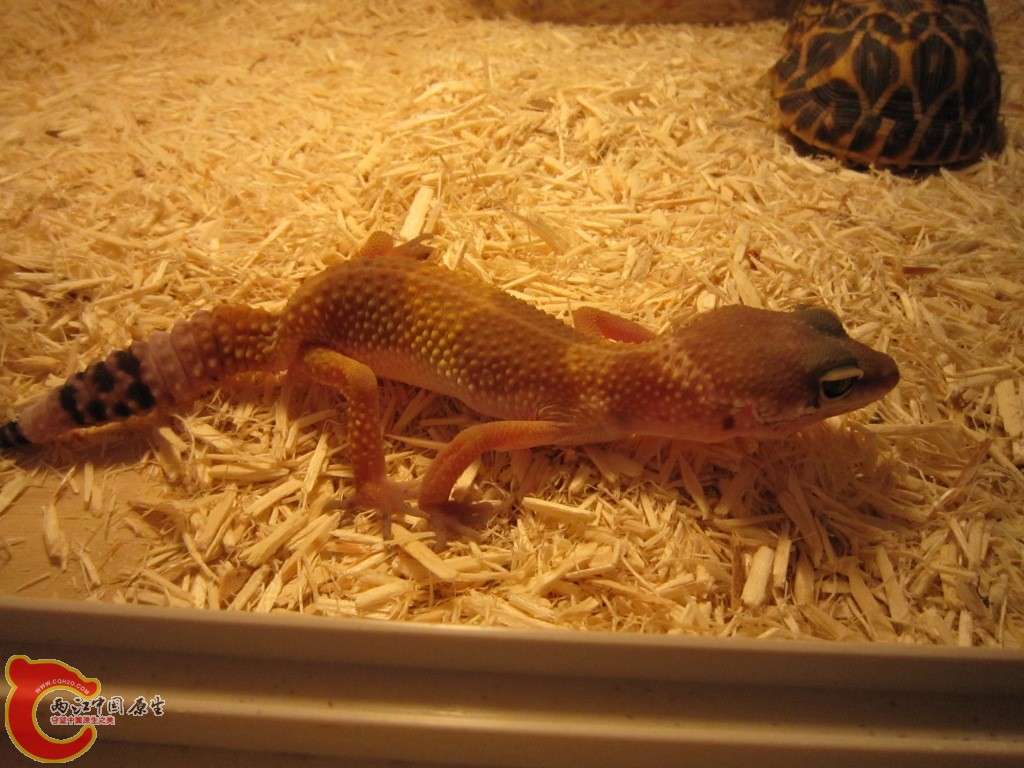 IMG_1578.JPG