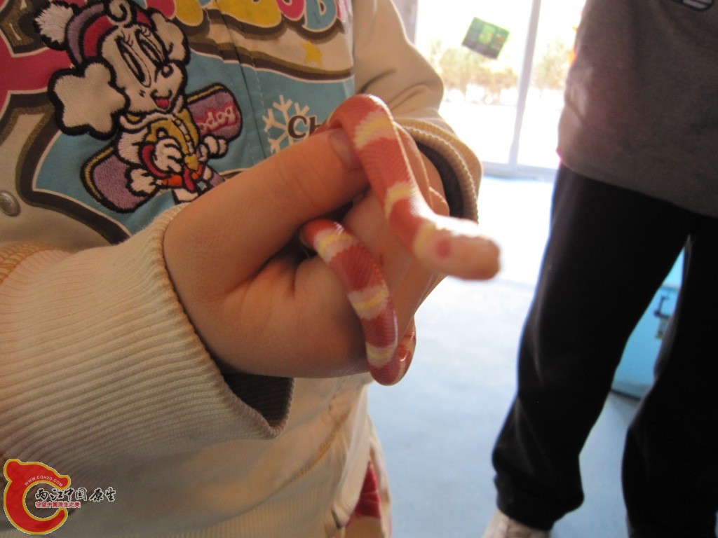 IMG_1579.JPG