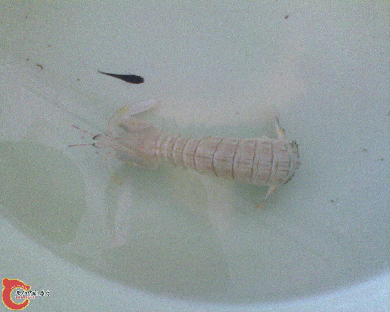 DSC00025.JPG