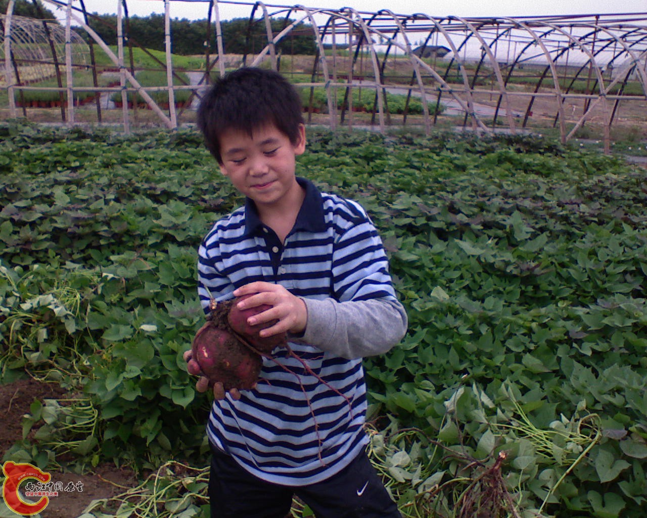 DSC00003-2.JPG
