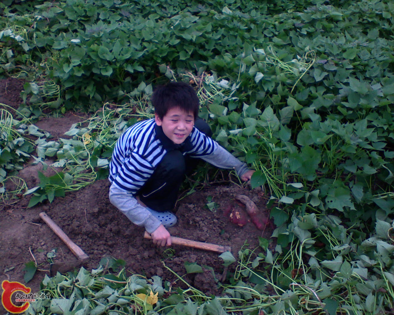 DSC00002-2.JPG