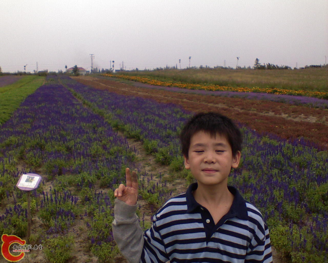DSC00007-2.JPG