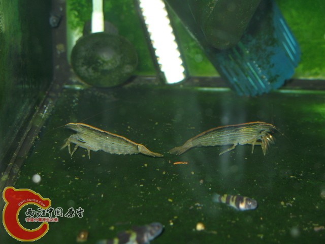 IMG_6269.JPG