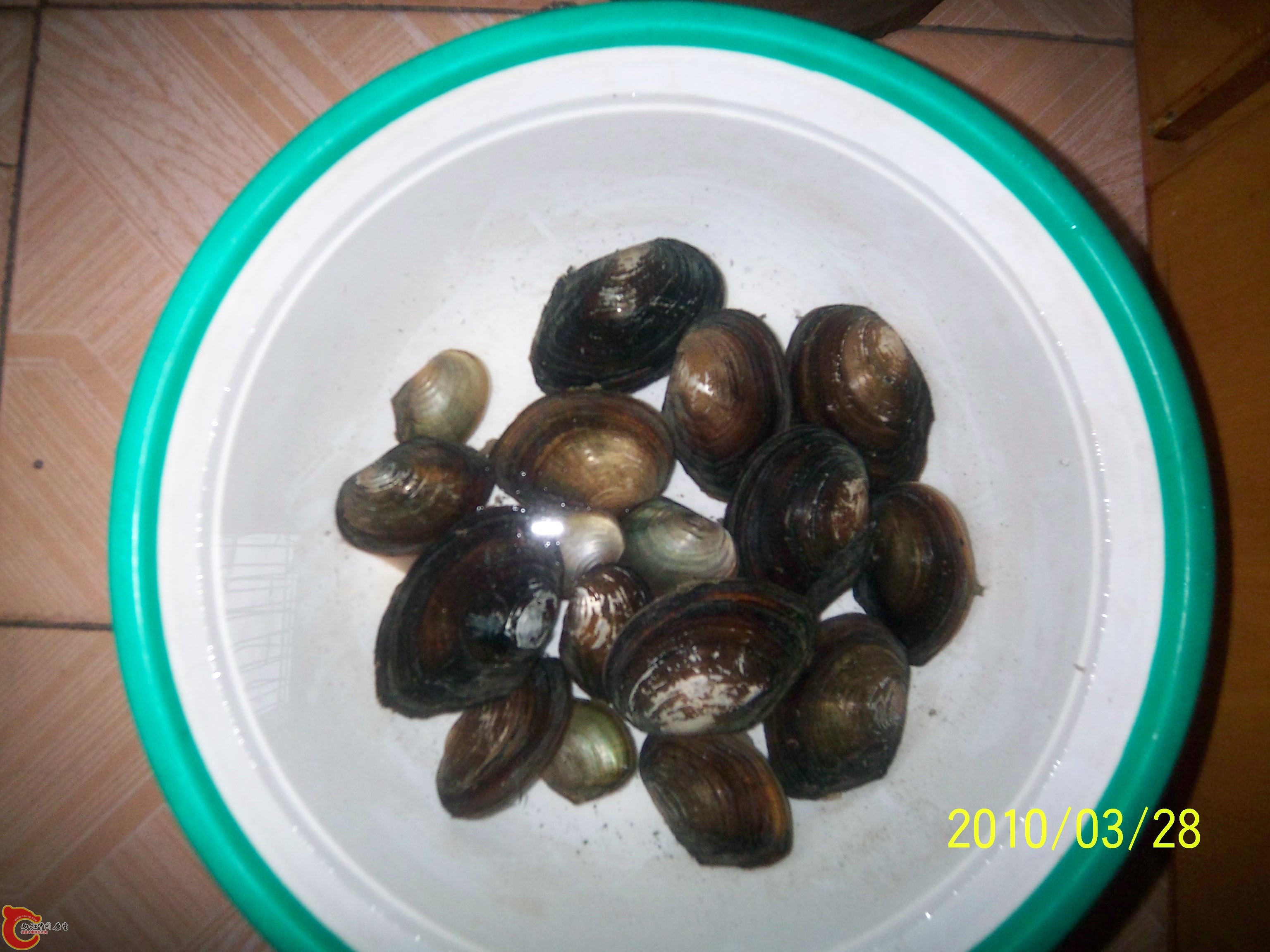 100_9925.JPG