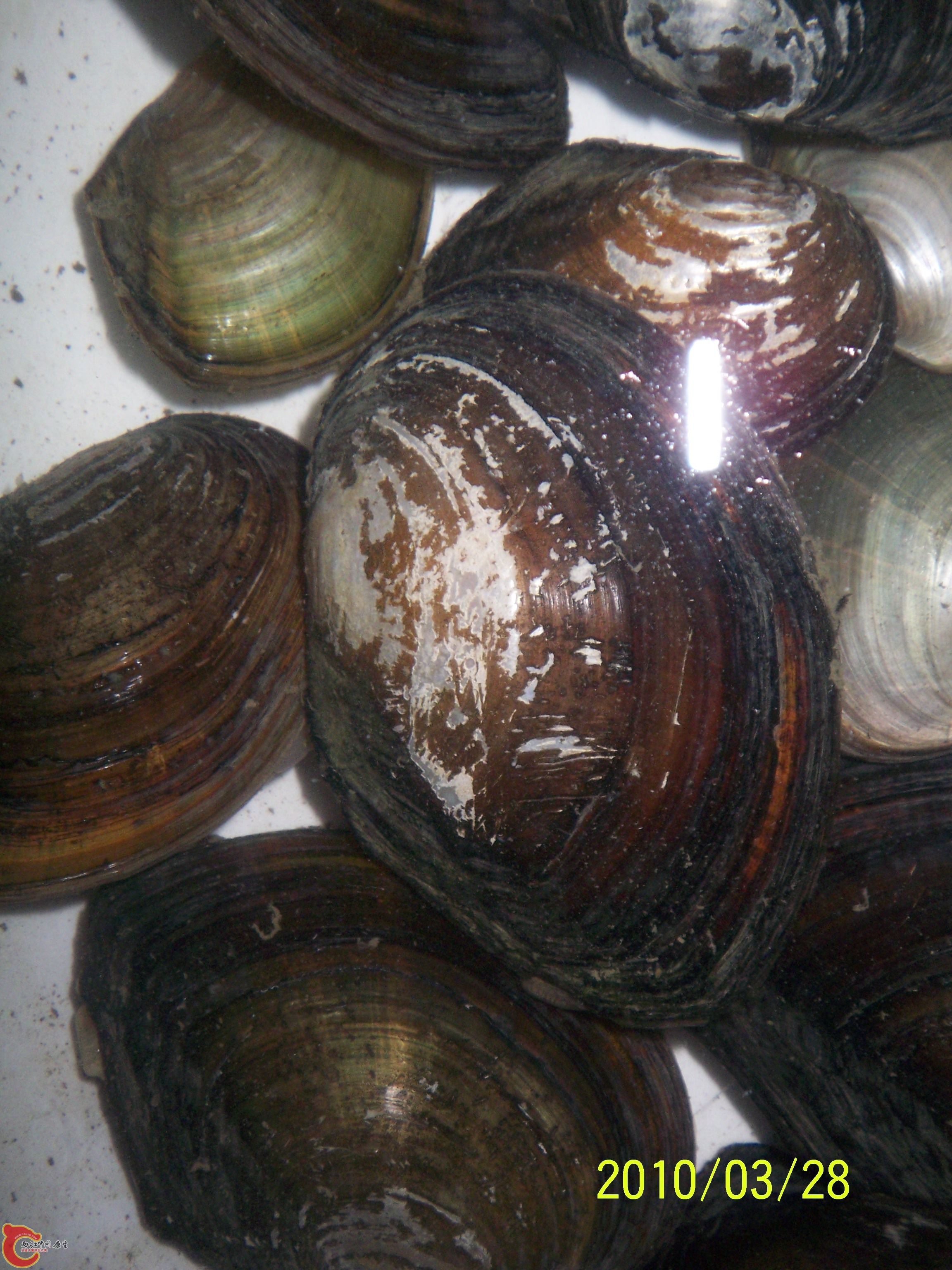 100_9927.JPG
