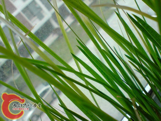 P300310_11.28.jpg