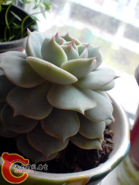 P300310_11.29[02].jpg