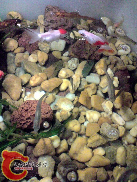 P300310_11.54.jpg