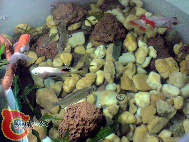 P300310_11.59[01].jpg