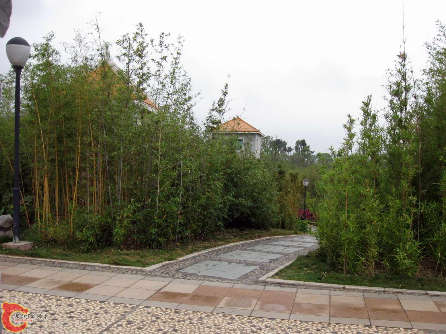 河堤公园