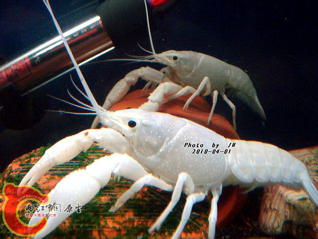 2吸引.jpg