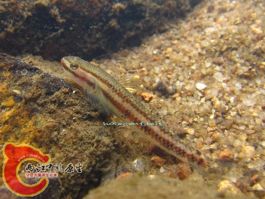 IMG_0143.jpg
