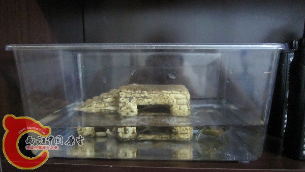 IMG_0877.jpg