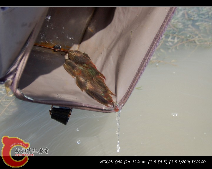DSC_7054.jpg