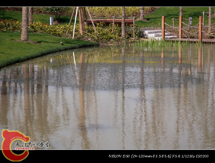 DSC_7063.jpg