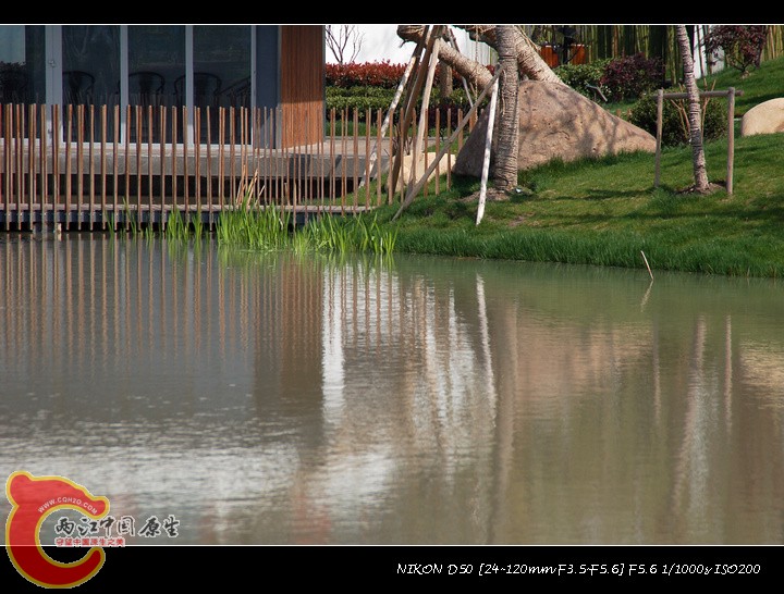 DSC_7064.jpg