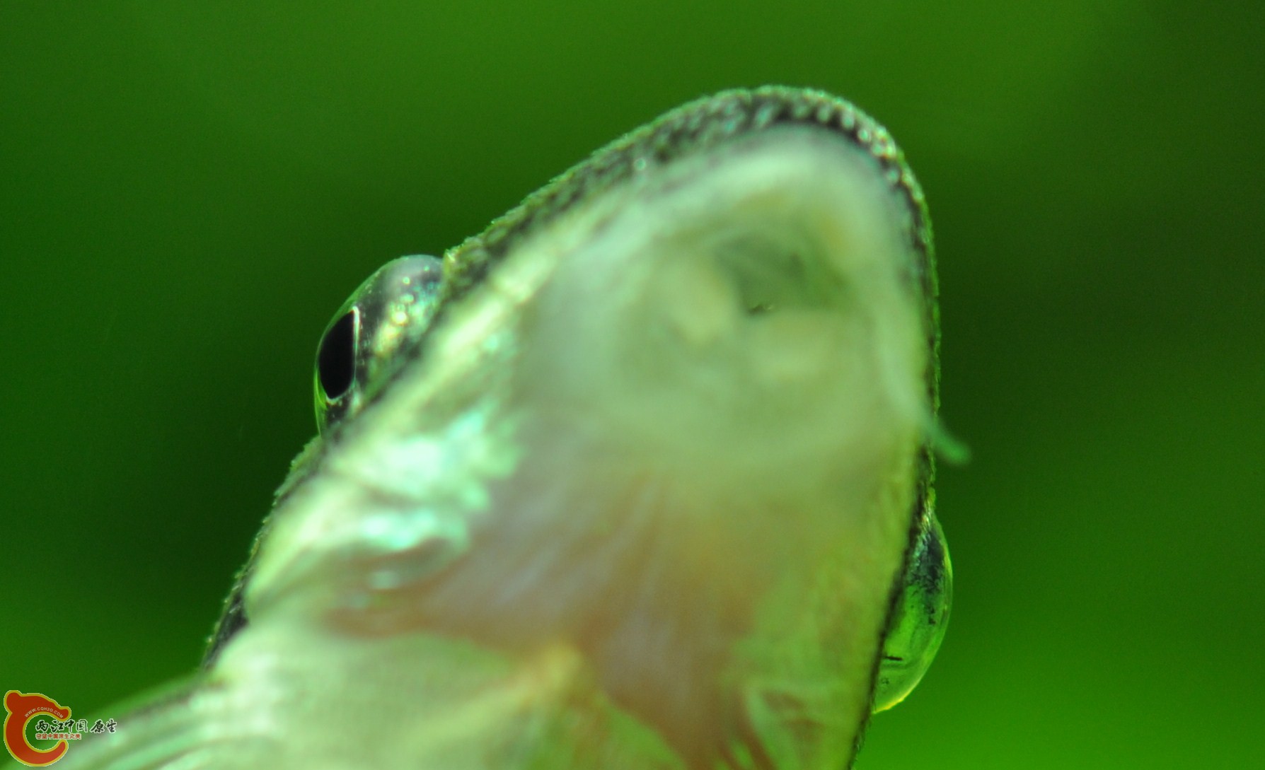 DSC_0105 - 复制.JPG