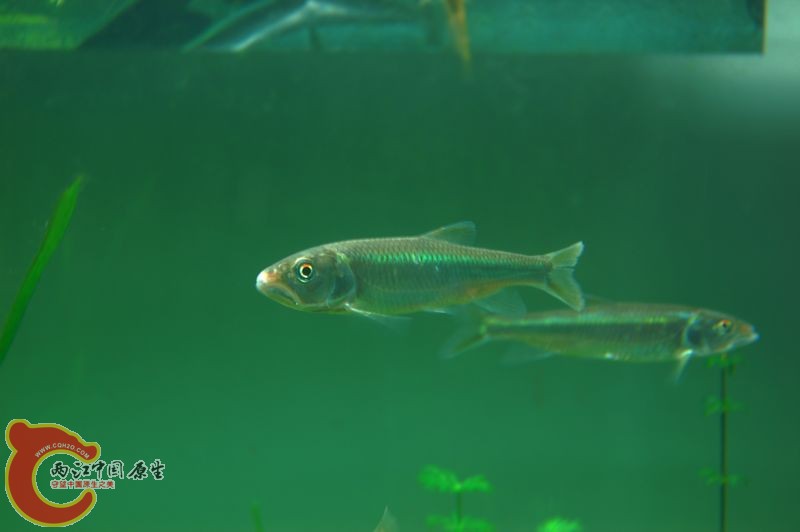 DSC_9259.JPG
