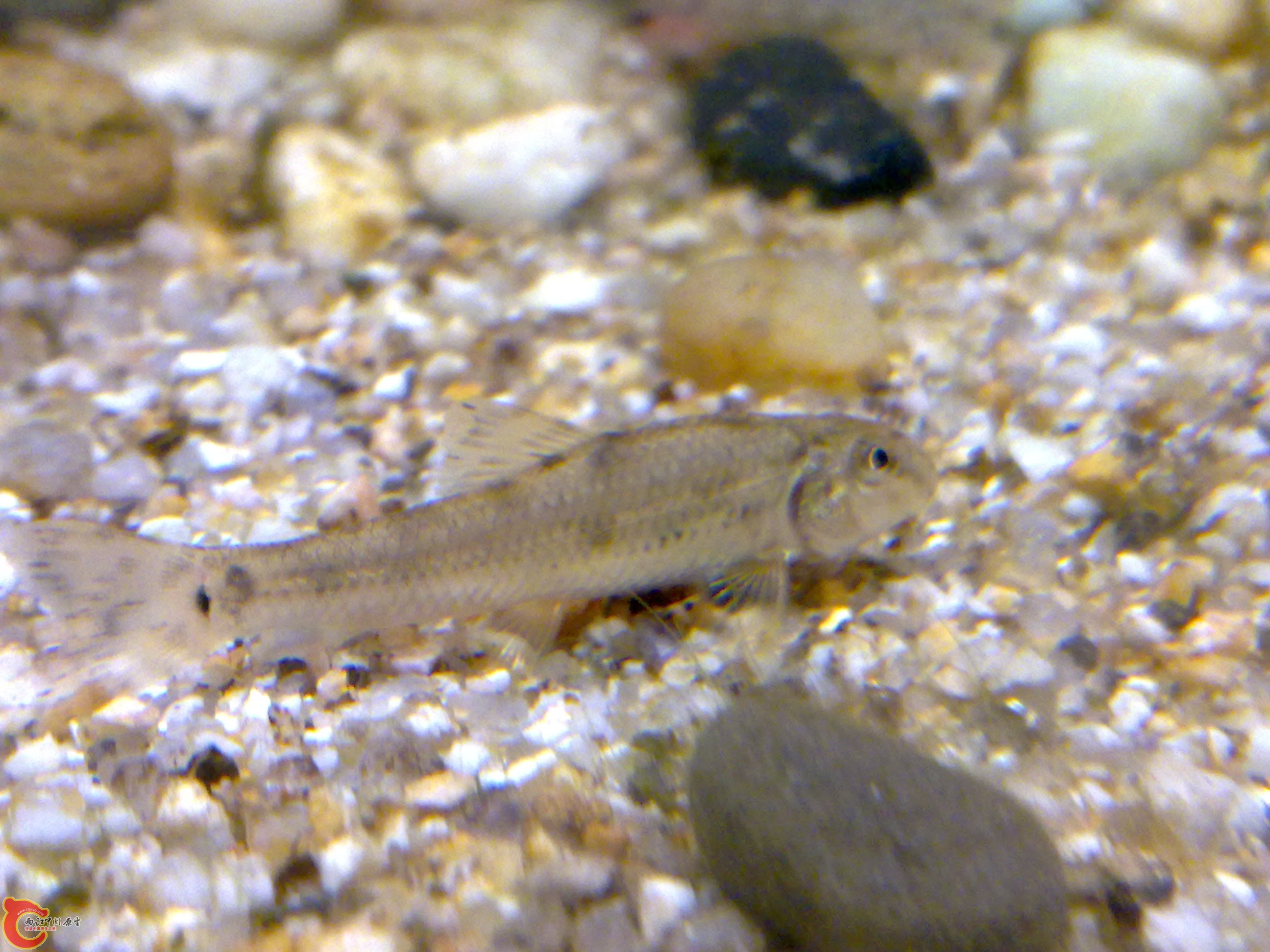 20100403050.jpg