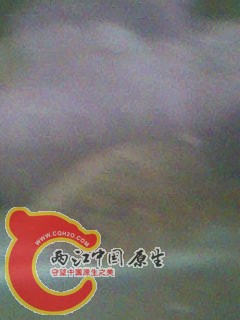 图像095.jpg