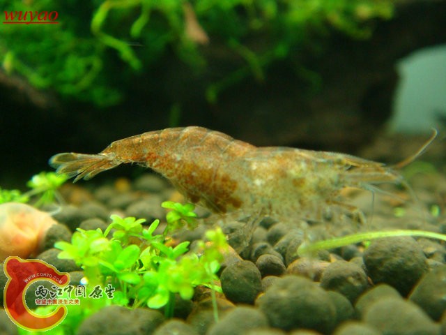 DSC04694.JPG