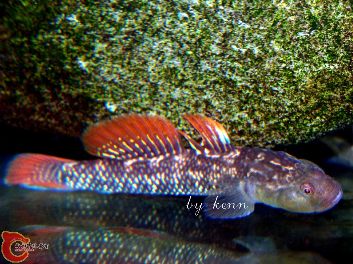 100_0373.JPG