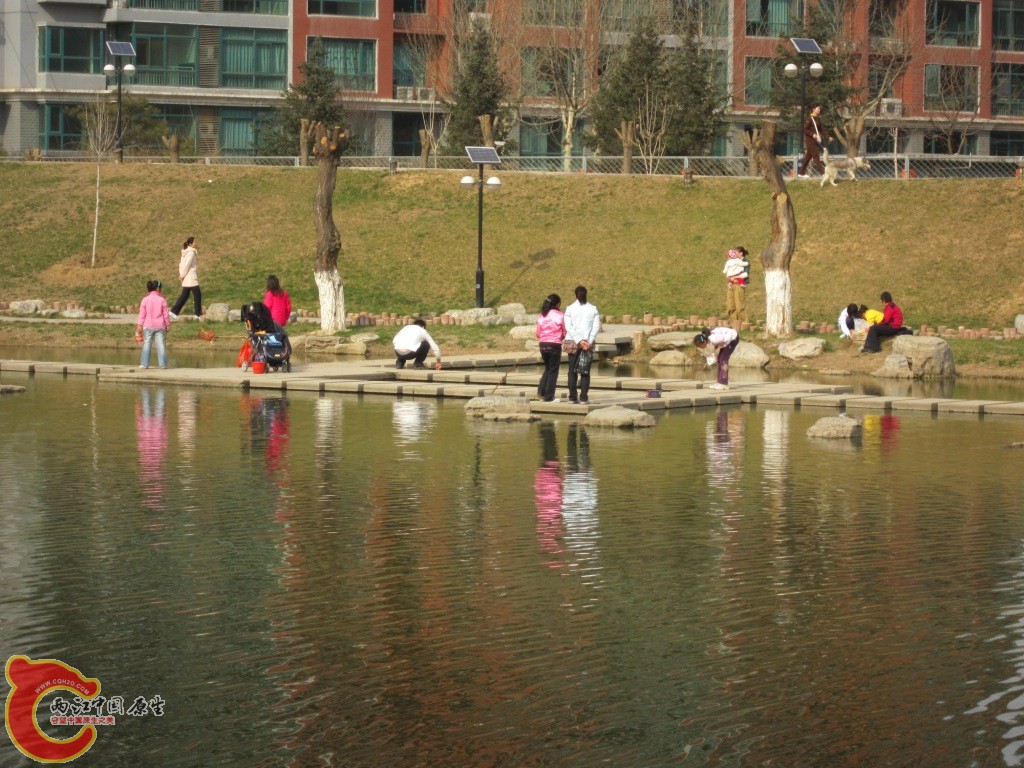 IMG_1699.JPG