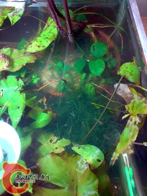 P040410_20.57.jpg