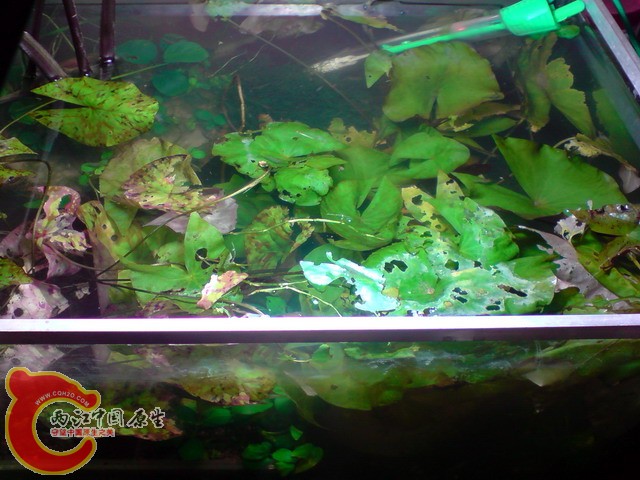 P040410_20.58.jpg