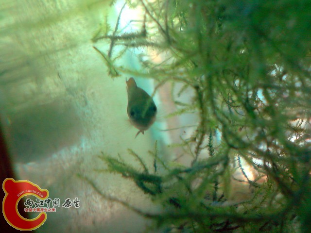 P050410_09.15.jpg