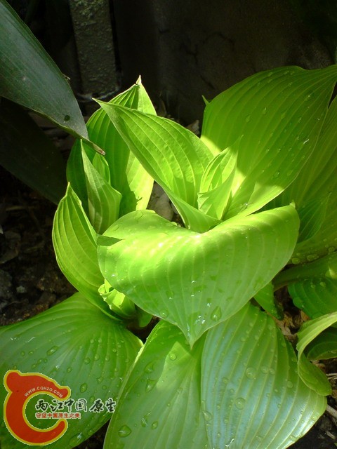 P050410_12.55[02].jpg