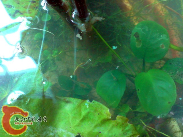P050410_09.10.jpg