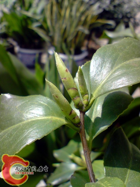 P050410_13.01.jpg