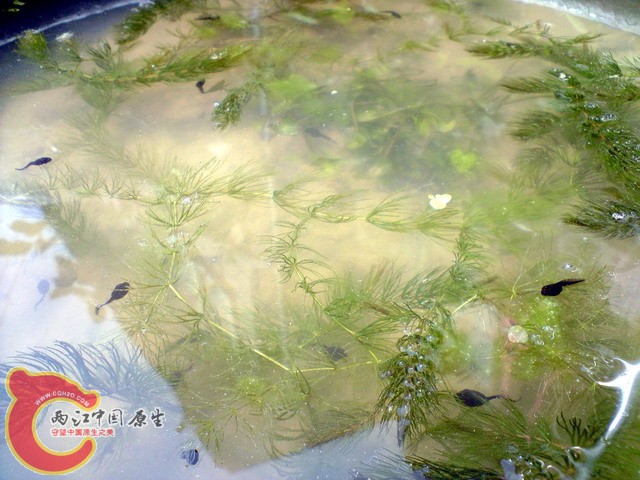 P050410_13.02.jpg
