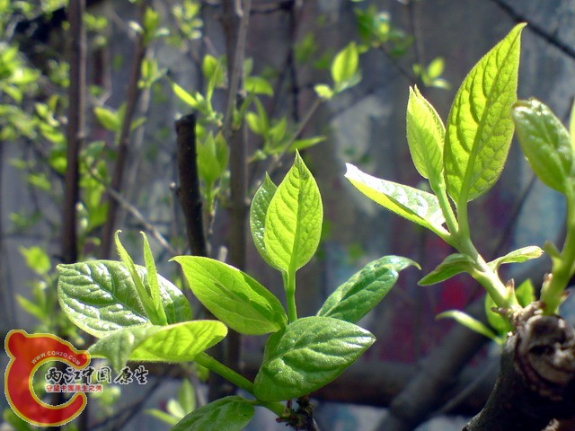 P050410_12.58[01].jpg