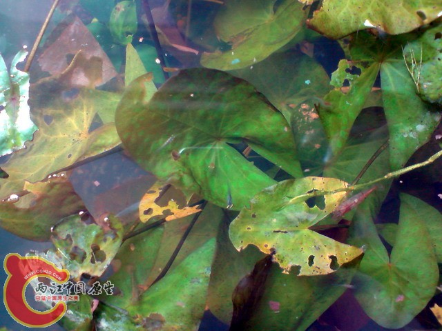 P050410_09.11.jpg